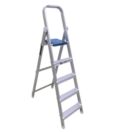 Prithvi-Domestic-Ladder
