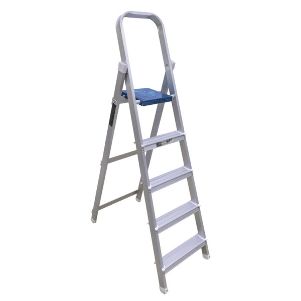 Prithvi-Domestic-Ladder