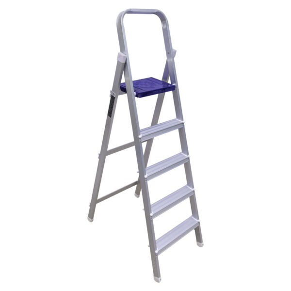 Shaurya-Domestic-Ladder